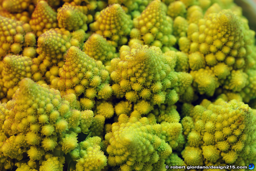 Heirloom Broccoli - Food Photography